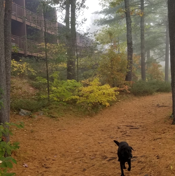 Meet your Posher, Inga - Picture 4 of 4